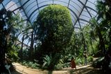 Umbracle