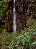 Levada dos 25 Fontes