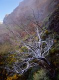 Pico do Aireiro to Pico Ruvio