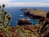 Ponta de So Loureno