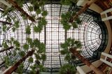 Winter Garden