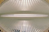 Ground Zero