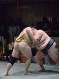 Sumo wrestlers