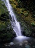 Olympic National Park
