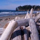 Olympic National Park