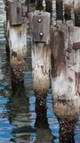 090511_134920_4556 Reflections On Decay (Mon 11 May 09)