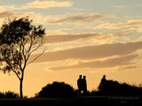 160528_070617_0021 Smoky Sunrise Silhouette, with Tree (Sat 28 May 16)