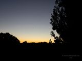 160822_191902_0321 Silhouette Of A Tuscan Tree At Dusk