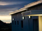 170114_055519_0094 Sharply (andSmart-ly) Defined (Sat 14 Jan 17)