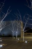 080705_174656_2250 Ghost Trees 1 (Sat 05 Jul 08)