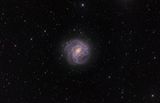 NGC5236 (M83) - Barred Spiral Galaxy (repro)