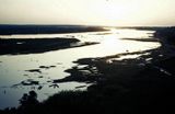 Niger River