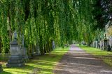 Dean Cemetery