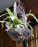 Hanging planter on back porch.