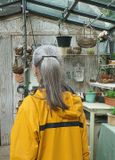 Greenhouse interior.