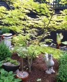 Chanticleers garden corner.