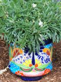 Bright planter.