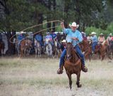 IMG_4367.jpg