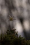 IMG_1531
