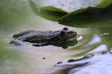 IMG_1863