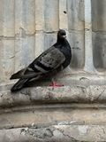 IMG_0822