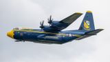 Fat Albert