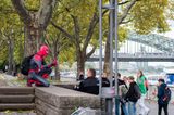 Spiderman Spotted in Cologne Germany