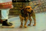 Just Me and My Converse High Tops Out For a Walk