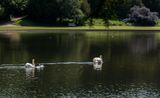A Peaceful Glide Through Studley Gardens