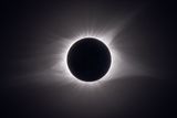 The Magnificent Void