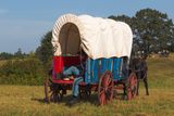 Mule-Drawn Supply Wagon, Chickamauga