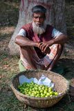 Fruit For Sale