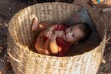 Market Baby
