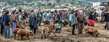 Early Morning Livestock Market