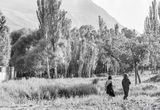 A Country Walk