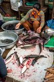 Cleaning Fish