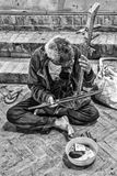 The Musician