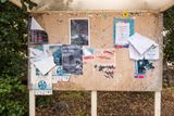 170523_346_0051.jpg