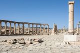 Jerash Ruins