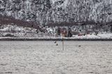 180203_2499.jpg