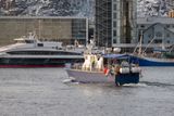 180203_2932.jpg