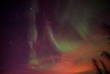 180206_3502.jpg