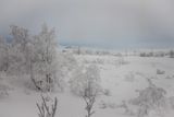 180208_0014.jpg