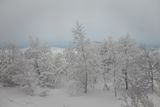 180208_0015.jpg
