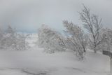180208_0016.jpg