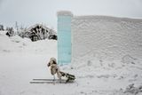 180209_0198-Edit.jpg