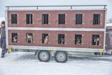 180209_0267-Edit.jpg