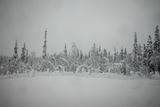 180210_0542.jpg