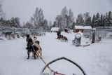 180212_1109.jpg