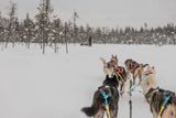 180212_1140.jpg